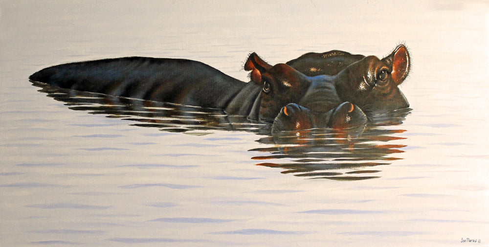 River Horse -  Limited Edition Hippopotamus Canvas Print by Joe Marais