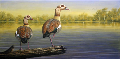 The Sacred Egyptian Geese - Limited Edition Canvas Print by International Wildlife Artist Joe Marais