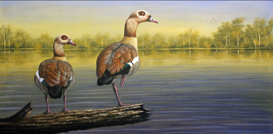 The Sacred Egyptian Geese - Limited Edition Canvas Print by International Wildlife Artist Joe Marais