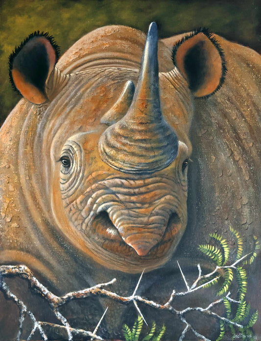 Horned Sentinel - Black Rhino -  Limited Edition Canvas Print by Joe Marais