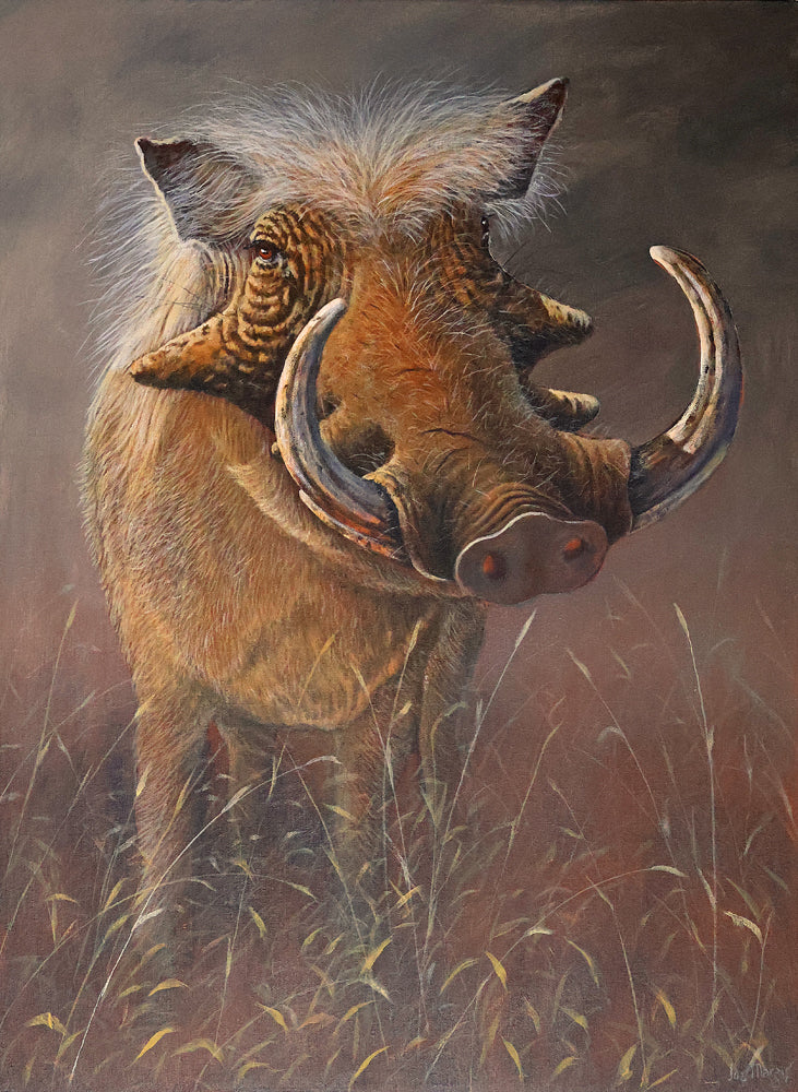 Mr Attitude -  Limited Edition Canvas Print by International Wildlife Artist Joe Marais