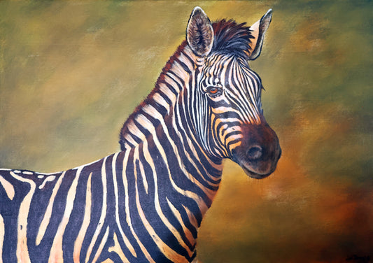 Zebra Zone -  Limited Edition Canvas Print by International Wildlife Artist Joe Marais