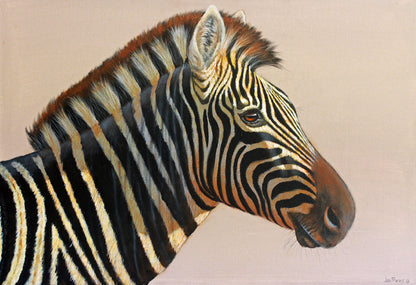 The Stallion -  Limited Edition Canvas Print by Joe Marais