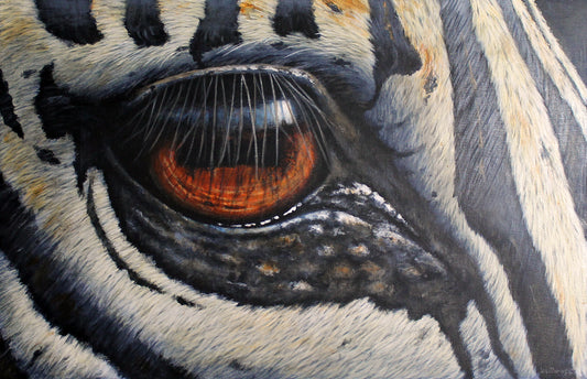 Eye see You -  Limited Edition Canvas Print