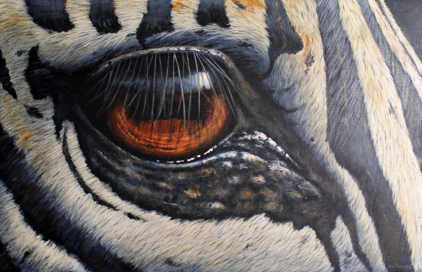 Zebra - Eye see you! Limited Edition Canvas Print by International Wildlife Artist Joe Marais