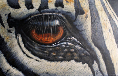 Zebra - Eye see you! Limited Edition Canvas Print by International Wildlife Artist Joe Marais
