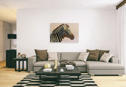 The Stallion -  Limited Edition Canvas Print by Joe Marais