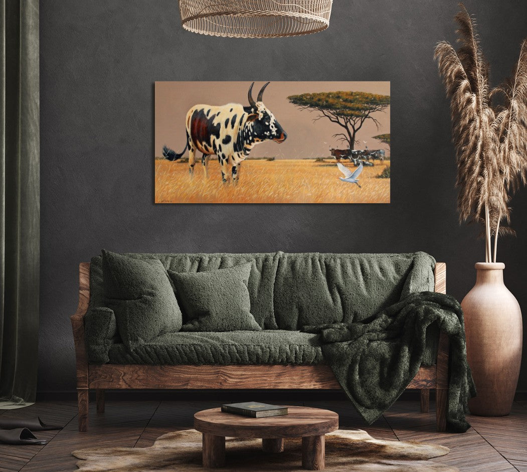 Zulu Royalty - Nguni Bull -  Limited Edition Canvas Print by Joe Marais